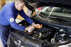 Autocleaning Roden